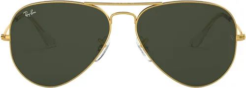 Vista 221 de Ray-Ban RB3025 Classic Evolve Gafas de sol de aviador fotocromáticas