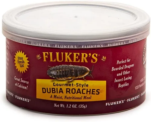 Vista 12 de Fluker's Alimento enlatado gourmet para reptiles, peces, pájaros y animales pequeños, cucarachas pequeñas Dubia, 1.2 oz