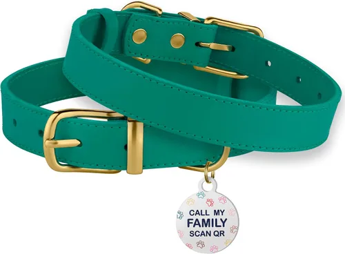 Vista 5 de BRONZEDOG Collar de cuero para perro con hebilla de metal, collares básicos duraderos para perros pequeños, medianos y grandes