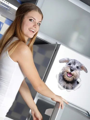Vista 2 de Winston & Bear Smiling Schnauzer - Calcomanías de pared para perro, paquete de 2, mini calcomanías 3D de Schnauzer para paredes, automóviles