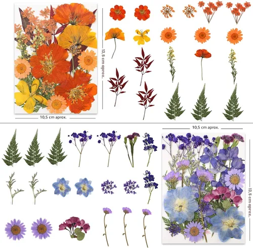 Vista 3 de LUXEEASE 80P Flores secas prensadas multicolor vibrantes Flores Tonificadas Cálidas 80p