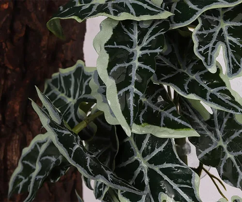 Vista 4 de Plantas de Reptiles para Terrario, Decoración de Hábitat de Anfibios Plantas Colgantes Artificiales con Ventosa - Alocasia Terciopelo Negro Falsa