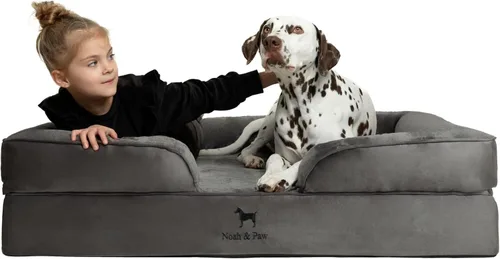 Vista 29 de NOAH & PAW Cama para perros pequeños, 20 x 15 x 8 pulgadas, cama para gatos de interior, espuma viscoelástica ortopédica de cáscara de huevo
