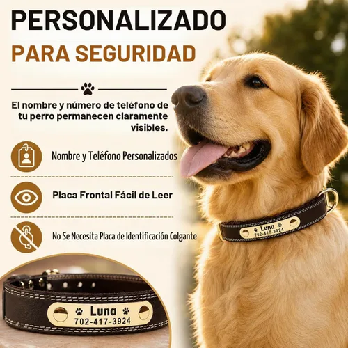 Vista 2 de Collar de cuero para perro personalizado con placa de nombre grabable - Collar con etiqueta de identificación duradera - Collar para perro