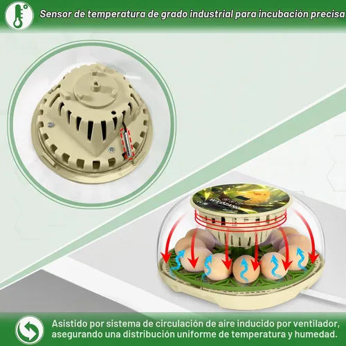 Vista 6 de Incubadoras inteligentes de pollo para incubar huevos con volteador automático, aves, pato, codorniz, incubadora de 12 huevos, pantalla de control