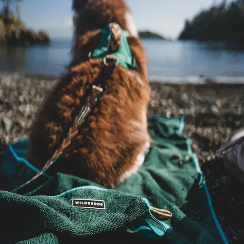 Vista 6 de Wilderdog Bandana para perro con material ligero de malla de mezcla de poliéster de secado rápido en Dakota