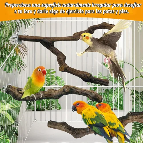 Vista 6 de kathson 3 piezas de perca natural de loro para jaula de madera para pájaros de uva, palito de pájaro de uva, periquitos, ramas de pie, juguete