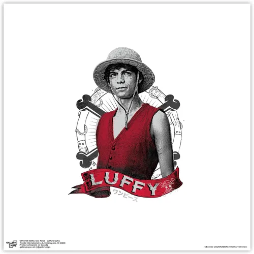 Vista 9 de Trends International Gallery Pops Netflix One Piece - Póster gráfico de pared de Luffy, 12.00 x 12.00 pulgadas, versión de marco negro