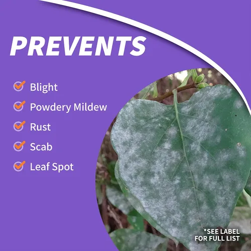 Vista 3 de Bonide Infuse Systemic Disease Control, solución concentrada de 16 onzas para el control de enfermedades de las plantas, de larga duración