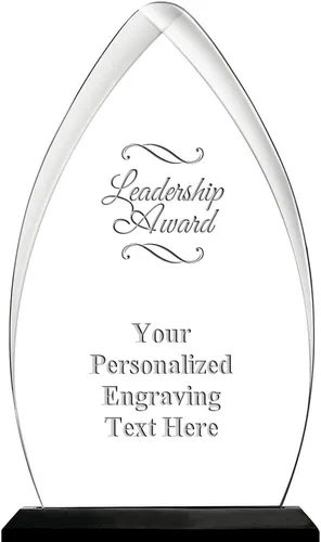 Vista 34 de Crown Awards Premio acrílico personalizado de 9.25 pulgadas de Gateway Skyline