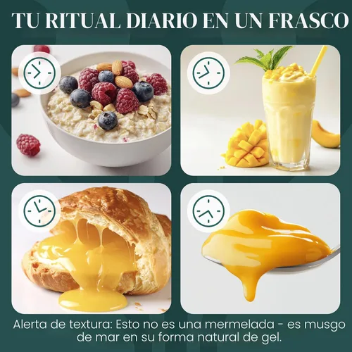 Vista 4 de TrueSeaMoss - Gel de musgo marino irlandés, cultivo silvestre, hecho con algas secas y frescas, apoyo para la salud y la digestión, fabricado