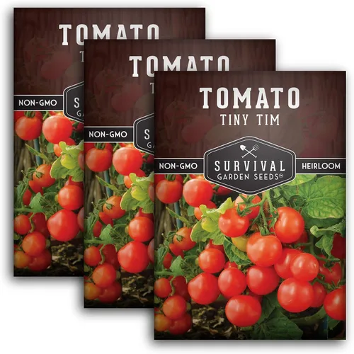 Vista 11 de Tiny Tim Semillas de tomate – Tomates cherry enanos para plantar en interiores o patio, variedad de reliquia compacta para contenedores, alto