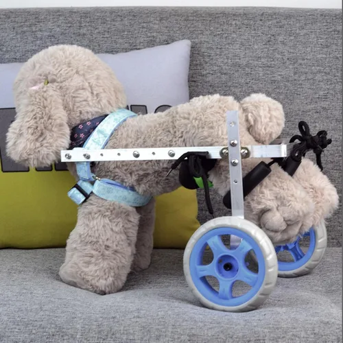 Vista 2 de Silla de ruedas ajustable para perro, silla de ruedas para mascotas de 2 ruedas, silla de ruedas ligera para perros y patas traseras, carrito