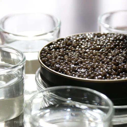 Vista 4 de Caviar siberiano polaco - Huevas de esturión real - Lyna Polska (7 onzas (7.05 oz))