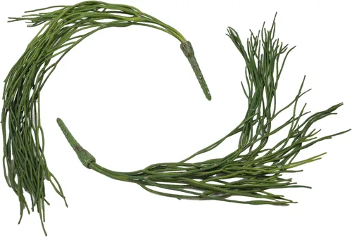 Vista 4 de Ebros Gift Paquete de 6 plantas suculentas largas y realistas con tallos de hojas suaves y realistas de 26 pulgadas de largo, plantas suculentas
