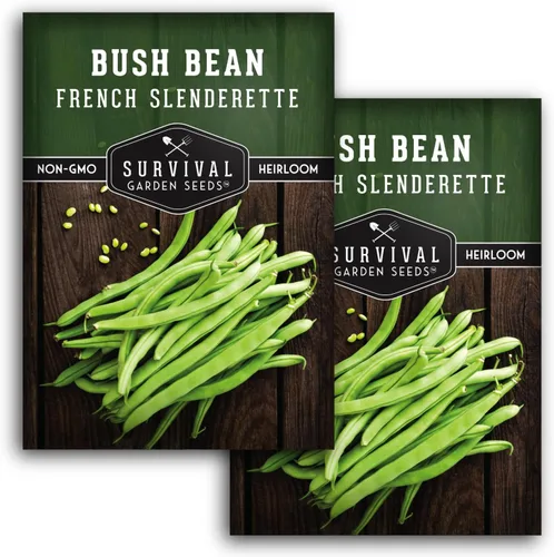 Vista 10 de 1 paquete de semillas de frijol francés Slenderette Bush para plantar con instrucciones para cultivar verts de haricots en tu huerto casero