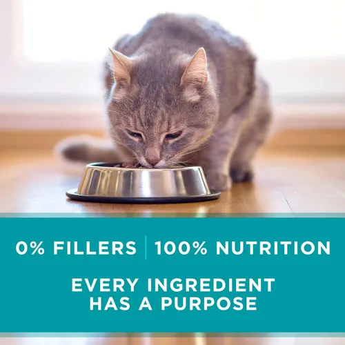 Vista 8 de Purina ONE Natural, alimento húmedo para gatos sin granos, paté, receta de pollo - (Paquete de 24) latas de 3 onzas con apertura fácil