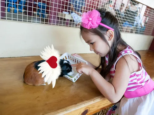 Vista 6 de Traje de 2 piezas para el día de San Valentín, alas de ángel con corazón de amor, disfraz de corazón de amor para mascotas pequeñas, chaleco