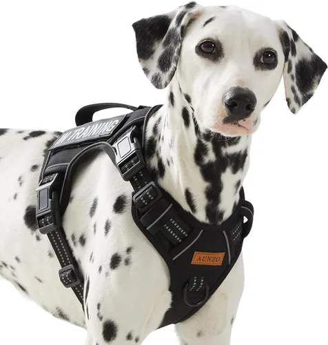 Vista 14 de Arnés para perro sin tirones para perros de tamaño pequeño, chaleco ajustable para caminar fácilmente, material Oxford transpirable, tiras Verde