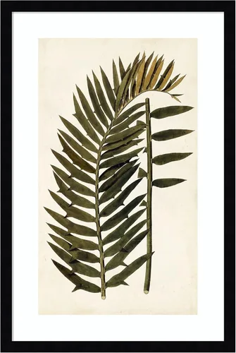 Vista 13 de Amanti Art Vision Studio - Lienzo decorativo para pared, 24 x 17 pulgadas, variedades de hojas VIII, arte de pared de naturaleza, decoración
