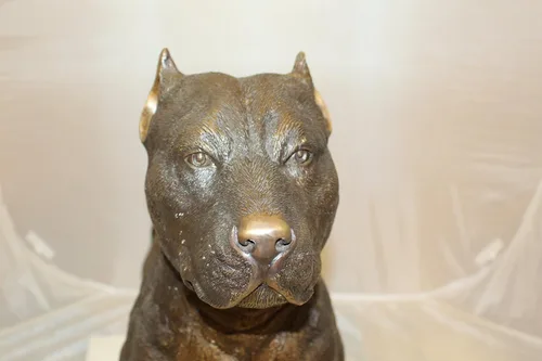 Vista 4 de Nifao Pit Bull Dog, animal, estatua de bronce medio perdido, 33 pulgadas de largo x 11 pulgadas de ancho x 26 pulgadas de alto