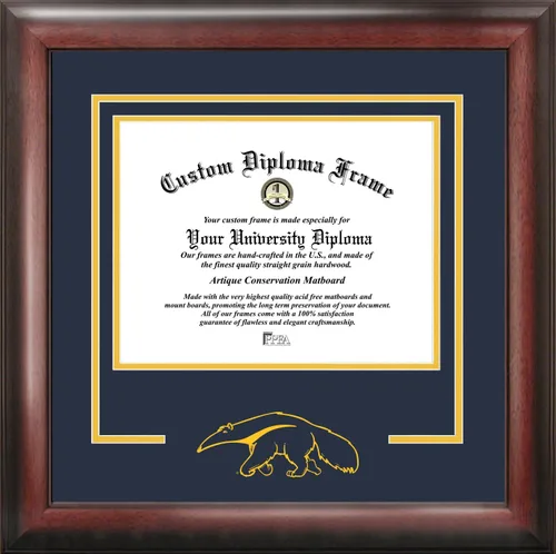 Vista 107 de Marco de Diploma Spirit NCAA