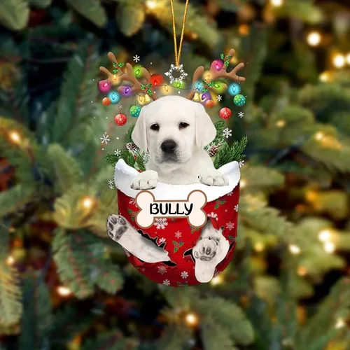 Vista 173 de IZI POD Affenpinscher Adorno de Navidad personalizado para perro, adorno de bolsillo de nieve para perro para árbol de Navidad, adorno acrílico