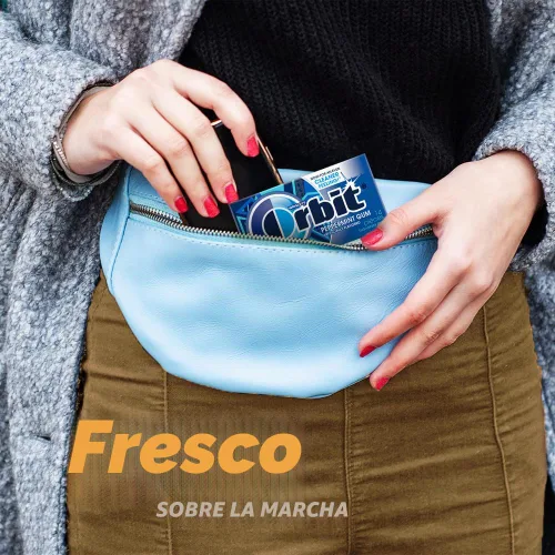 Vista 9 de ORBIT Goma de mascar de menta sin azúcar envuelta individualmente, paquetes a granel de chicle, 12 paquetes de 14 piezas (168 piezas en total)