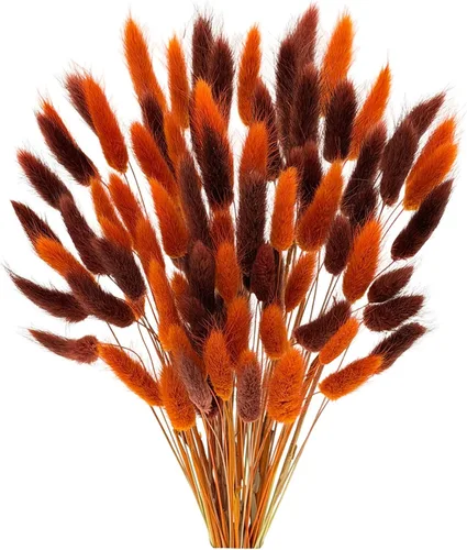 Vista 11 de 60 piezas Flores de Cola de Conejo Secas Hierba Negra de las Pampas Arreglo Floral Natural Seco Flores Secas para Halloween Navidad Decoración Boho