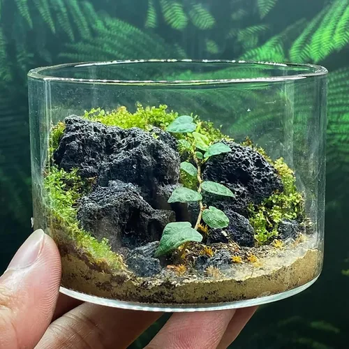 Vista 7 de Piedra de lava volcánica natural de 1 a 2.5 pulgadas para jardines en miniatura y de hadas, acuarios de paisajismo acuático, uso en hogueras