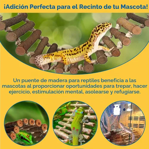 Vista 4 de SunGrow Gecko - Puente de escalera de madera, 14 x 3 pulgadas, gimnasio de ejercicio, percha interactiva para descansar, cierres de metal