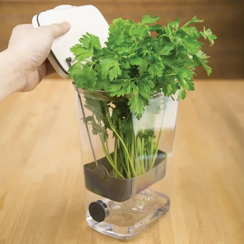 Vista 8 de ProKeeper Herb Keeper - Blanco, con tapón de drenaje de silicona extraíble, plástico sin BPA