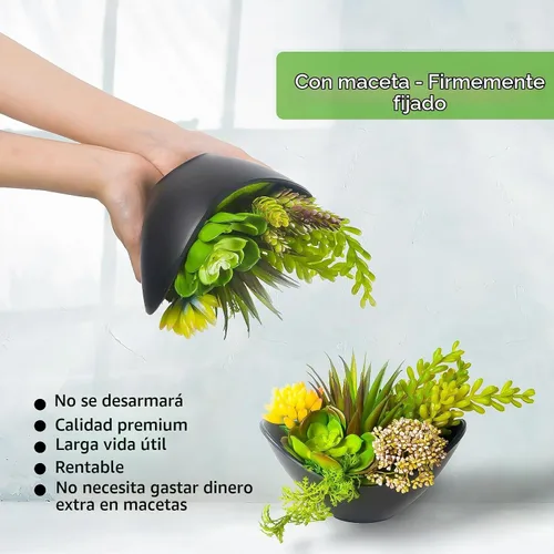 Vista 9 de Plantas suculentas artificiales en maceta de 7.2 pulgadas