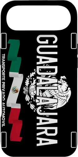Vista 27 de Guadalajara License Plate Aesthetic, Jalisco Guadalajara Case for iPhone 17