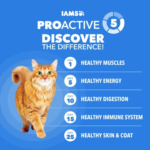 Vista 5 de IAMS Healthy Enjoyment Alimento seco para gatos, receta de pollo y salmón, 15 libras Vet-recommended, Real Chicken #1 ingredient, Natural fiber &