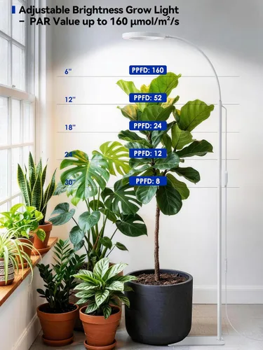 Vista 7 de GLOWRIUM Luces de cultivo para plantas de interior, lámpara de pie LED de espectro completo con soporte de altura y ángulo ajustables, luz
