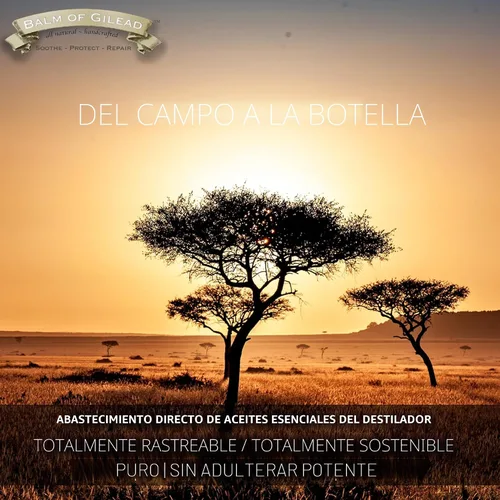 Vista 6 de Crema de Sanación para Pies BALM OF GILEAD – Hidratante de Incienso y Mirra Dulce para Piel Sensible - Terapia Relajante para Pies y Sanación