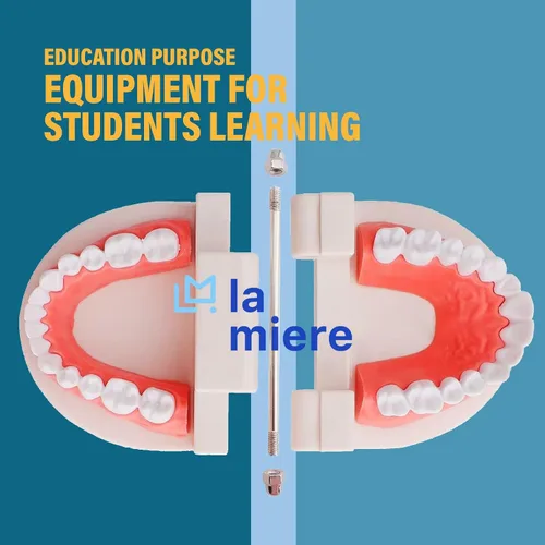 Vista 4 de LA MIERE 1 paquete de modelo de dientes estándar adulto tipodonto para demostración de prótesis dental para niños, enseñanza dental, exhibición