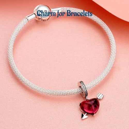 Vista 109 de Amufer S925 Charms for Women, compatible with Pandora Bracelets and Necklaces, Jewelry Gift