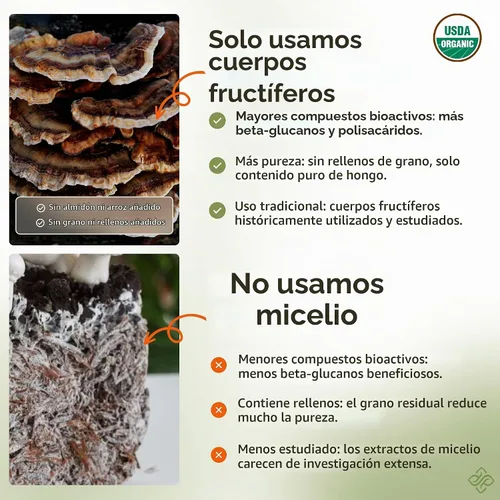 Vista 5 de Extracto orgánico Trametes Versicolor del extracto de las tapas de la seta de la cola del pavo