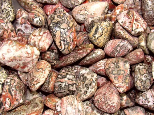 Vista 2 de Jaspe de piel de leopardo caído, incluye bolsa de terciopelo - Piezas grandes de 1 pulgada (1 libra)