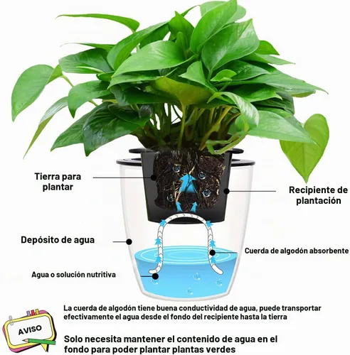 Vista 4 de Augshy Cuerda de algodón con mecha de riego automático de 1/6 pulgadas para dispositivo de riego automático de plantas de bricolaje (40 pies)
