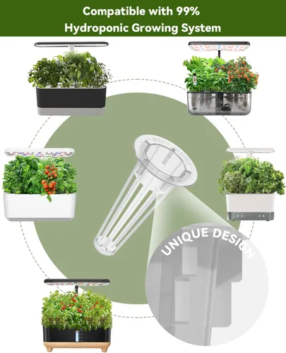 Vista 4 de Hydroponics - Vaina de semillas con albahaca genovesa y albahaca morada, kit completo de 8 cápsulas con esponja, canasta, cúpula, etiqueta