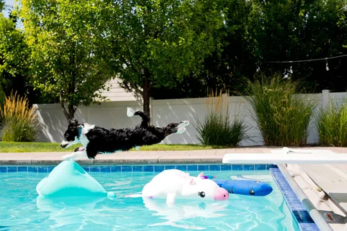 Vista 7 de Posh Creations Narwhal - Fideos y flotadores de piscina con EPS para niños, diversión no inflable para saltar, descansar y montar en la piscina