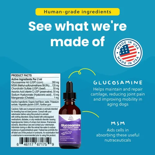 Vista 3 de Paramount Pet Health Glucosamina totalmente natural para perros – 260 mg de glucosamina para perros pequeños – Suplemento líquido