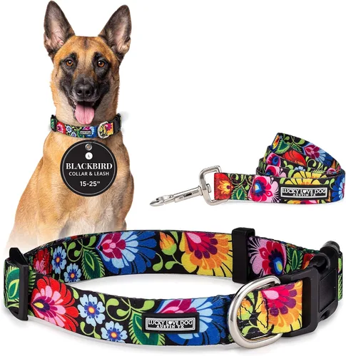 Vista 62 de Lucky Love Dog - Collar para perras pequeñas, diseño Blackbird de estampado alegre con flores de primavera y verano, talla XS Collar Blackbird