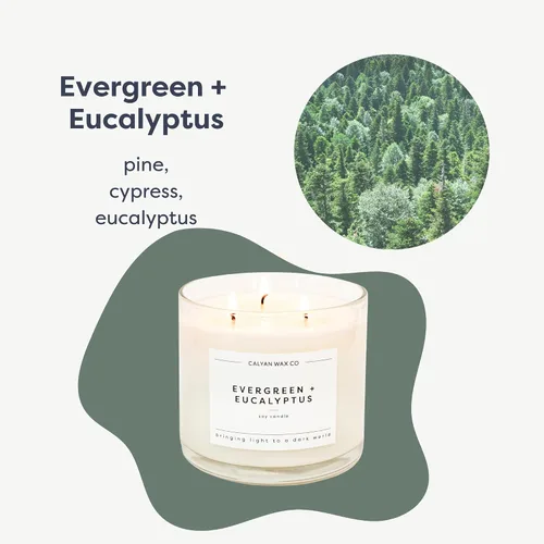 Vista 2 de Calyan Wax Co. Evergreen & Eucalyptus - Vela perfumada de 3 mechas - 43 horas de combustión - Velas de soja de lujo de 3 mechas - Velas de cera