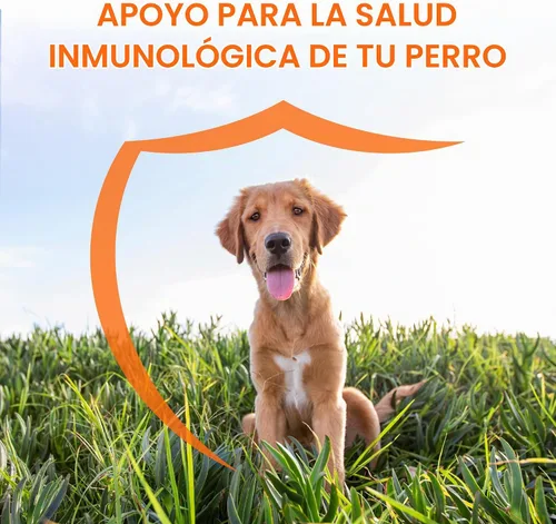 Vista 2 de Nutramax Imuquin Suplemento de apoyo inmunológico para perros, paquetes de polvo, 30