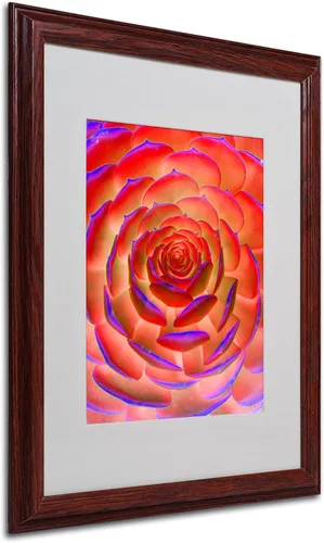 Vista 7 de Trademark Fine Art Arte de plantas en arte enmarcado mate por Patty Tuggle en marco de madera, 11 x 14 pulgadas