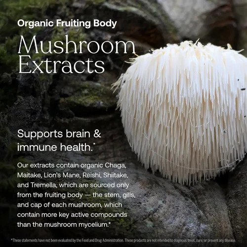 Vista 4 de True Grace Minerales fermentados multivitamínicos diarios para hombres, adaptógenos orgánicos y hongos para equilibrar todo el cuerpo, suplemento